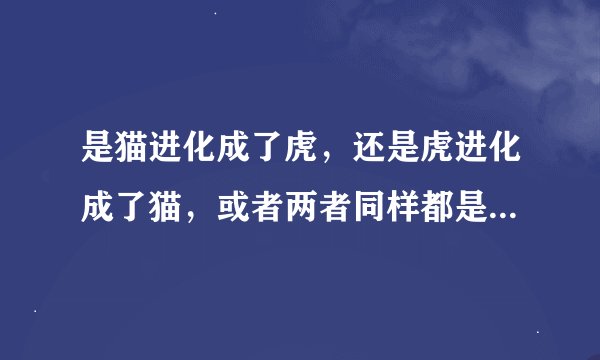 是猫进化成了虎，还是虎进化成了猫，或者两者同样都是由某种生物进化而来？
