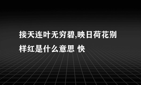 接天连叶无穷碧,映日荷花别样红是什么意思 快
