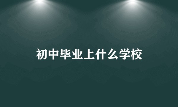 初中毕业上什么学校