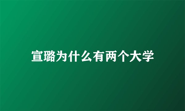 宣璐为什么有两个大学