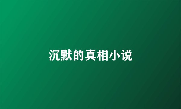 沉默的真相小说