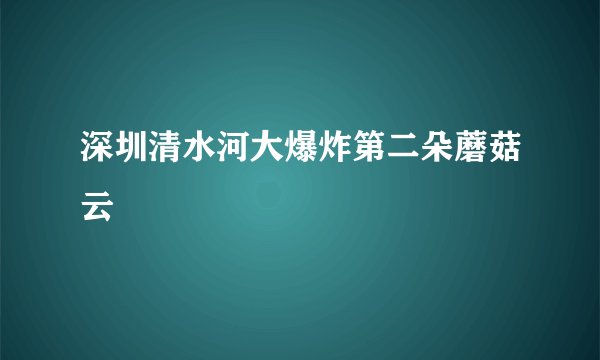 深圳清水河大爆炸第二朵蘑菇云