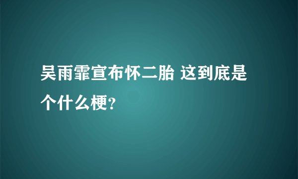 吴雨霏宣布怀二胎 这到底是个什么梗？