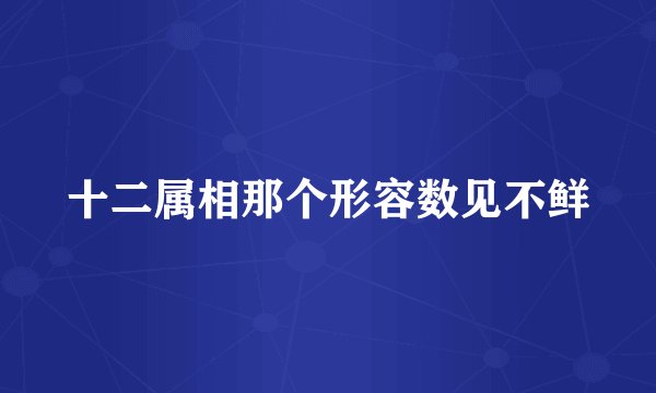 十二属相那个形容数见不鲜