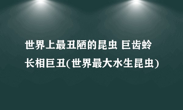世界上最丑陋的昆虫 巨齿蛉长相巨丑(世界最大水生昆虫)