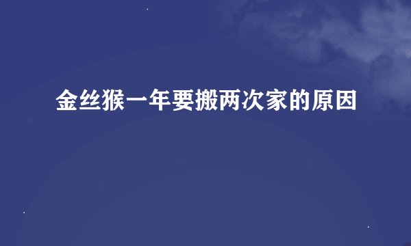 金丝猴一年要搬两次家的原因