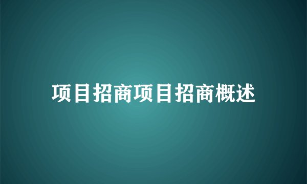 项目招商项目招商概述