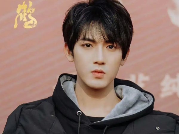 虎鹤妖师大结局