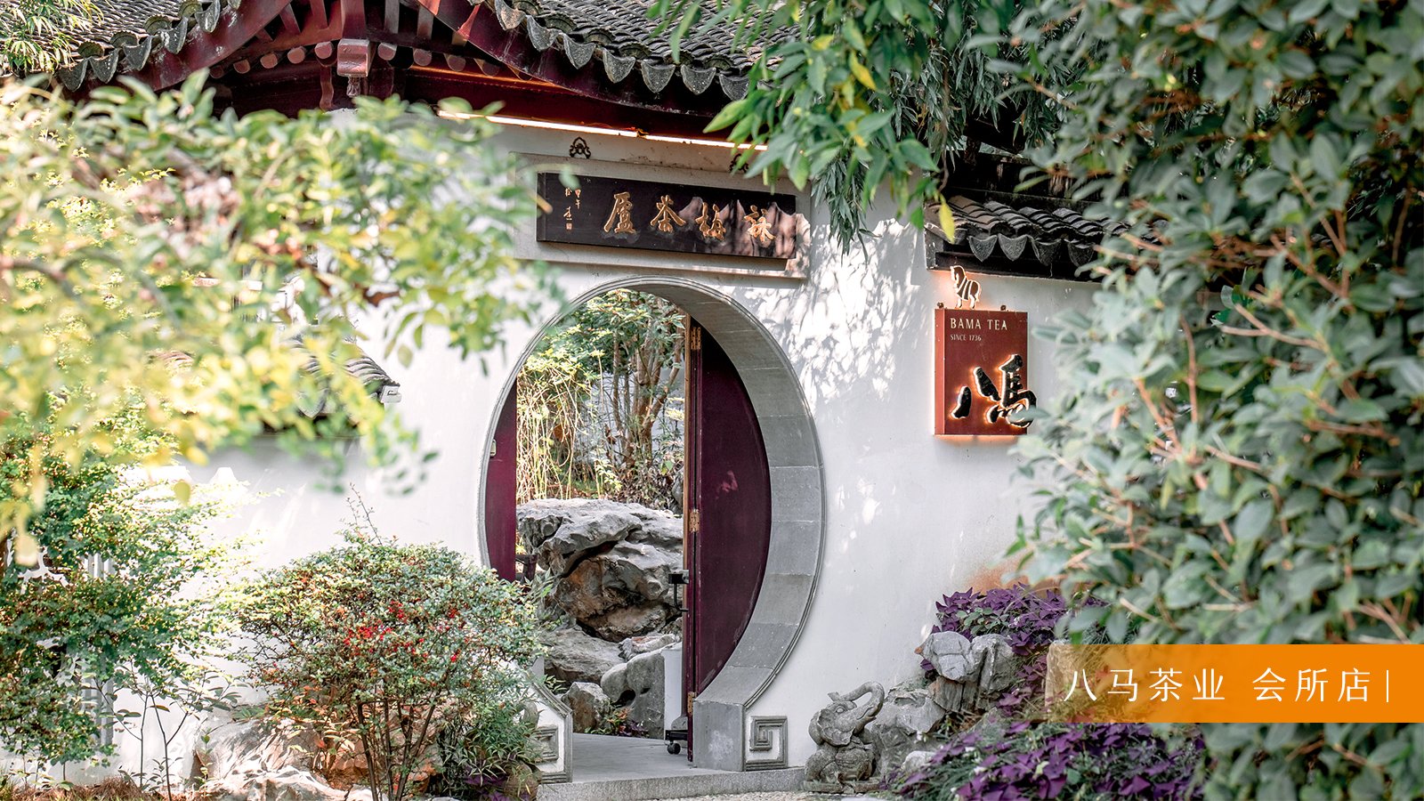 茶叶加盟开茶叶店需要多少钱？