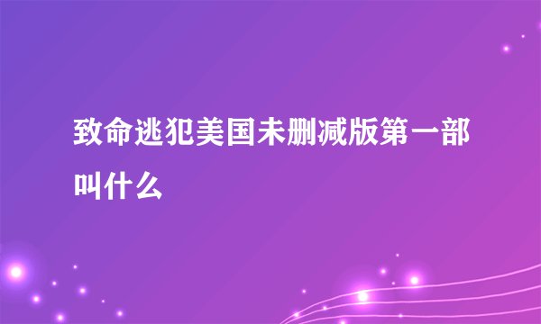 致命逃犯美国未删减版第一部叫什么