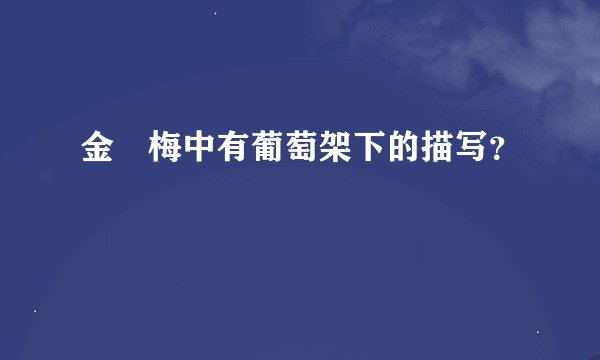 金甁梅中有葡萄架下的描写？