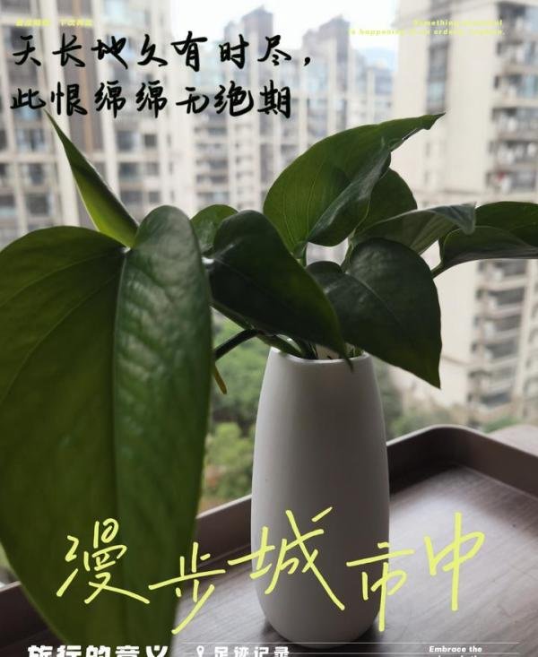天长地久有时尽，此恨绵绵无绝期