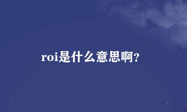 roi是什么意思啊？