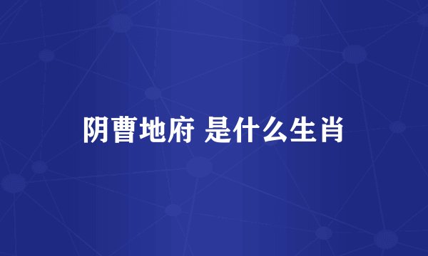 阴曹地府 是什么生肖