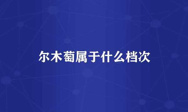 尔木萄属于什么档次