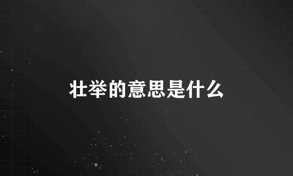 壮举的意思是什么