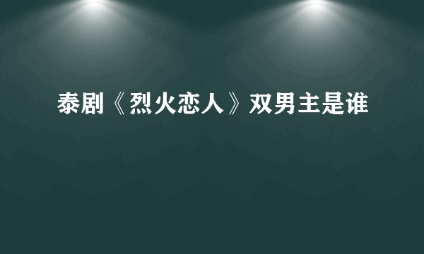 泰剧《烈火恋人》双男主是谁