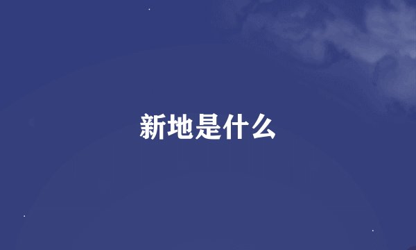 新地是什么