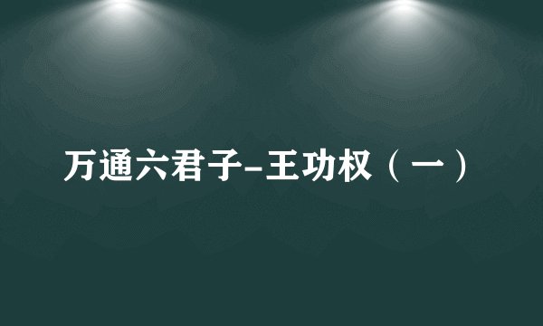 万通六君子-王功权（一）