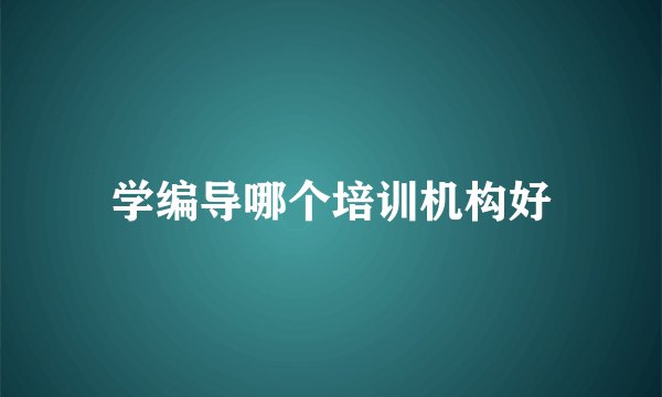 学编导哪个培训机构好