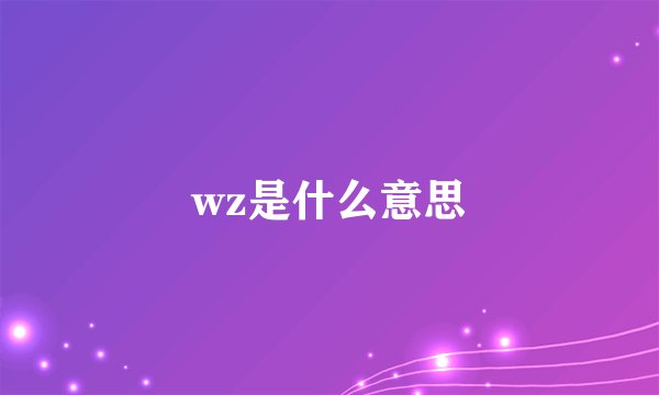 wz是什么意思