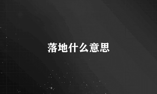 落地什么意思