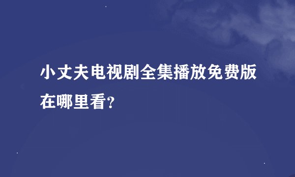 小丈夫电视剧全集播放免费版在哪里看？