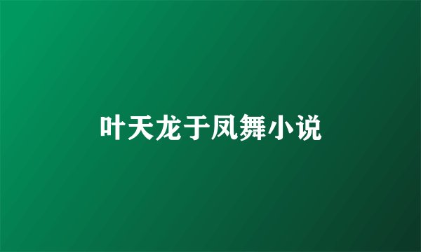 叶天龙于凤舞小说