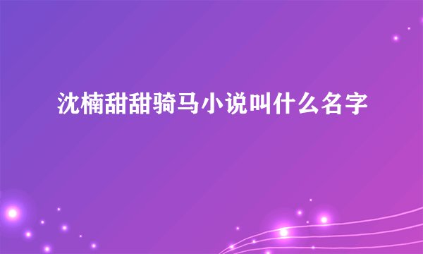 沈楠甜甜骑马小说叫什么名字