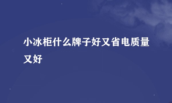 小冰柜什么牌子好又省电质量又好