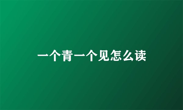一个青一个见怎么读