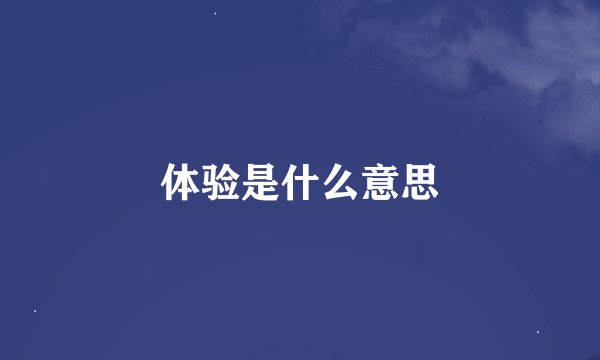 体验是什么意思