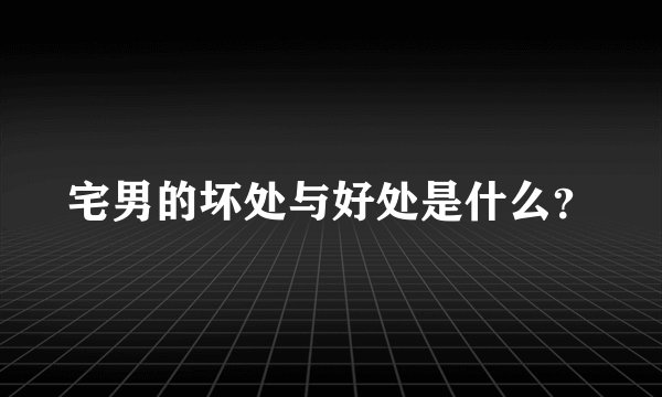 宅男的坏处与好处是什么？