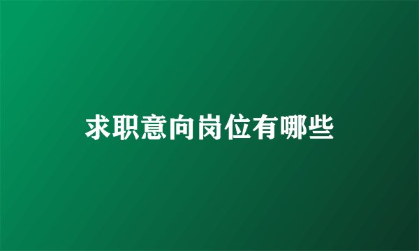 求职意向岗位有哪些