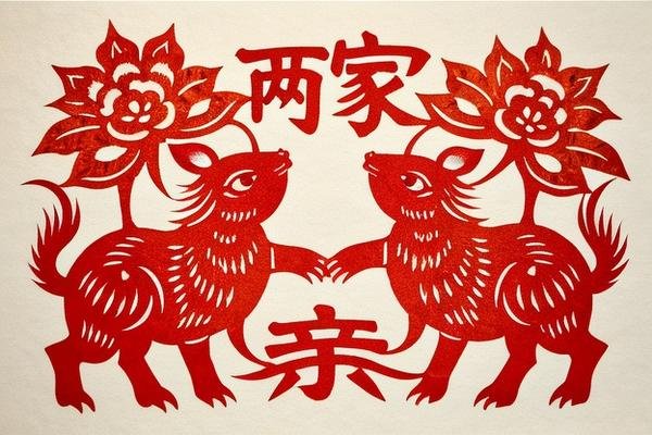 东方情人两家亲代表什么生肖