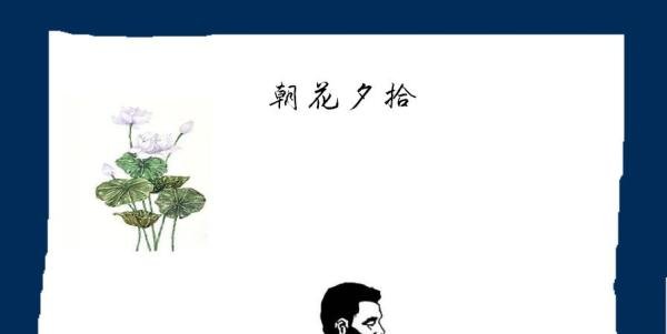 朝花夕拾手抄报内容资料