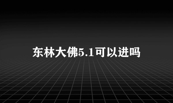 东林大佛5.1可以进吗