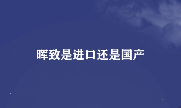 晖致是进口还是国产