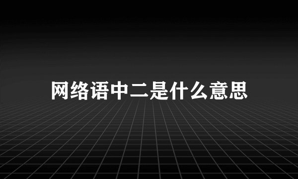 网络语中二是什么意思