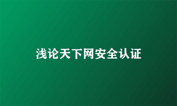 浅论天下网安全认证