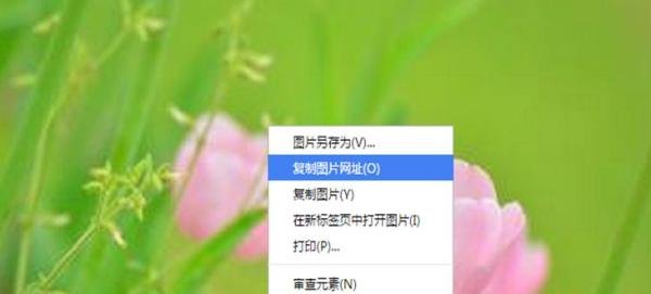 QQ空间如何添加大图模块