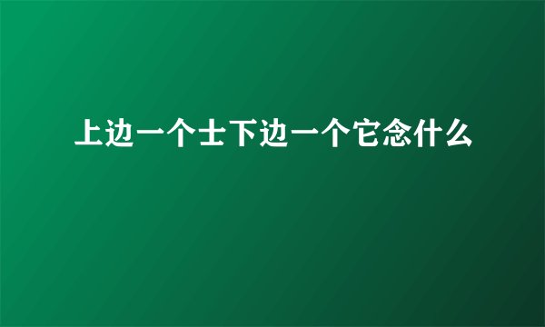 上边一个士下边一个它念什么
