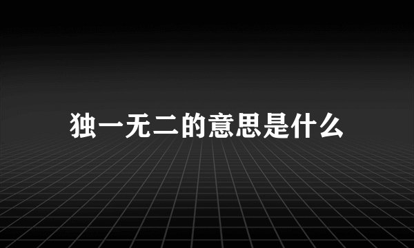 独一无二的意思是什么