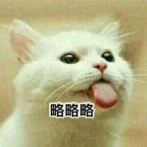 略略略什么意思？