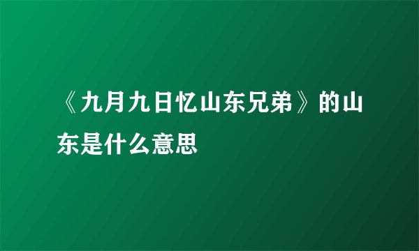 《九月九日忆山东兄弟》的山东是什么意思