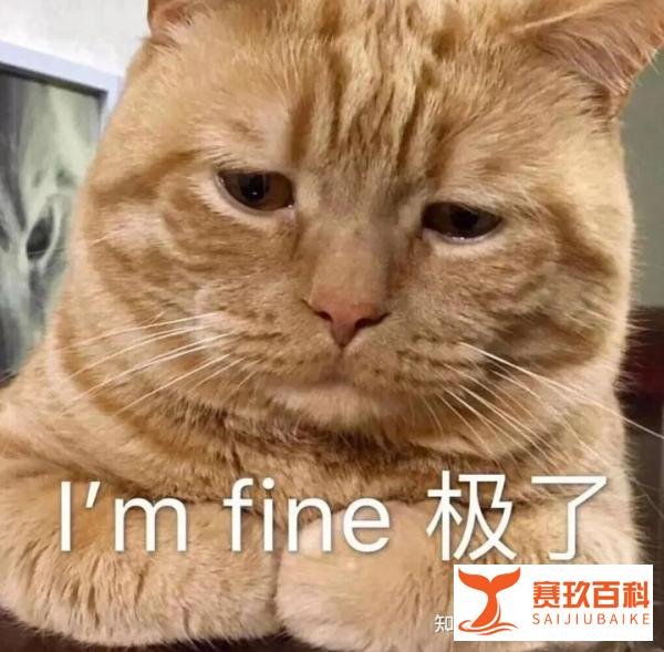 干货 | 行研小白如何从0到1, 撰写第一份行研报告!