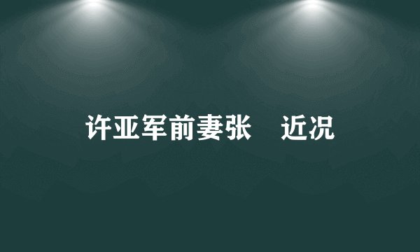 许亚军前妻张晞近况