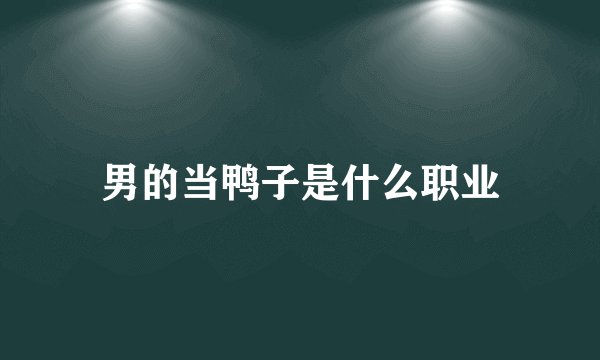 男的当鸭子是什么职业
