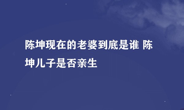 陈坤现在的老婆到底是谁 陈坤儿子是否亲生