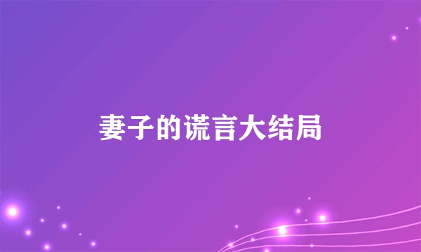 妻子的谎言大结局